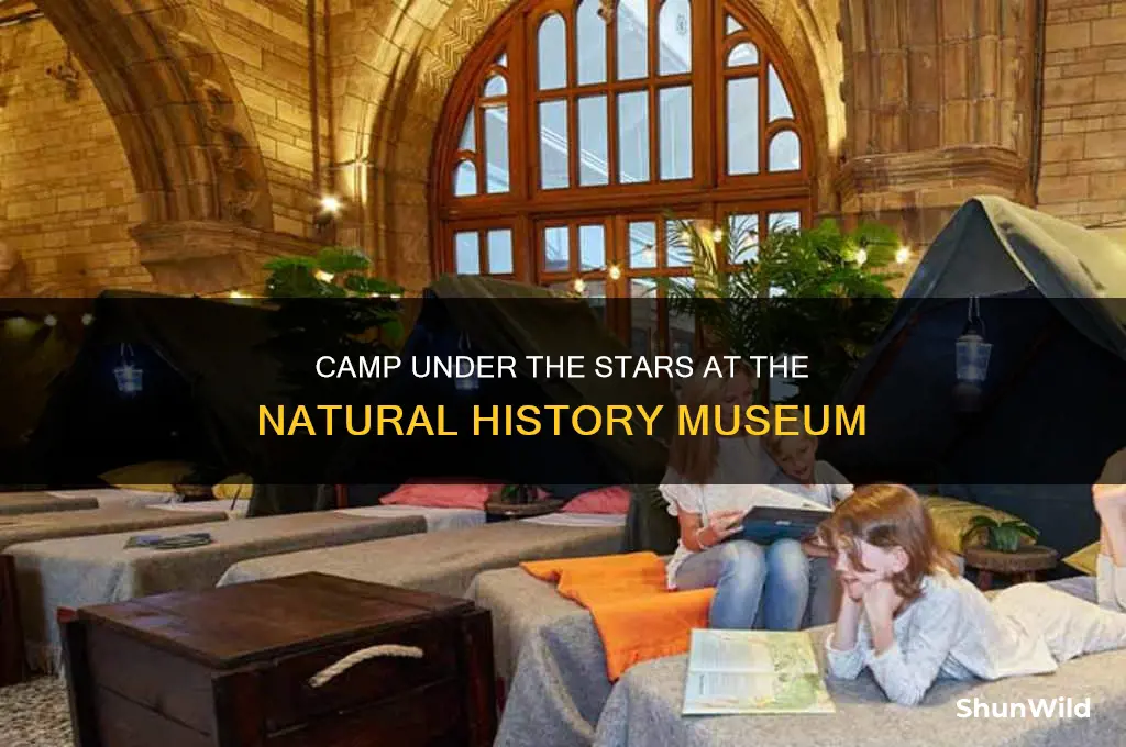 may natural history museum camping