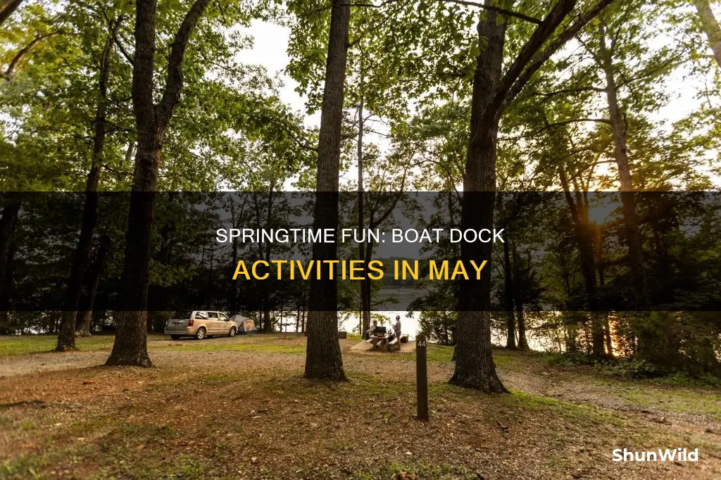 may springs boat dock