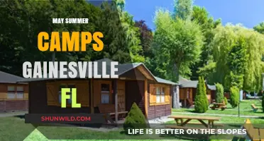 Exciting Summer Camps in Gainesville, FL for Kids and Teens