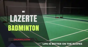 Badminton's Future: Me LazerTE Revolution