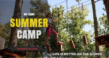 Me Lyons Summer Camp: Unforgettable Adventures and Memories Await!