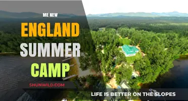 Discover Adventure: My Unforgettable New England Summer Camp Experience