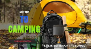 Essential Camping Gear: Must-Bring Items for a Perfect Outdoor Adventure