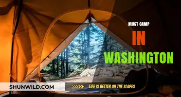 Discover Washington's Best Camping Spots: A Nature Lover's Guide
