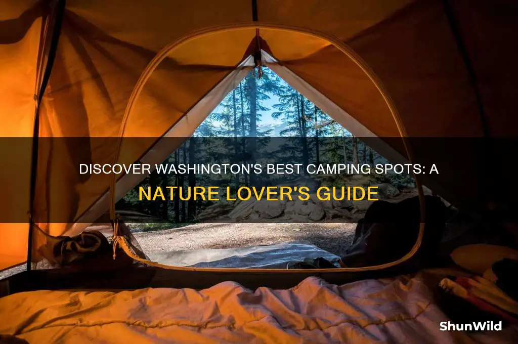 must camp in washington