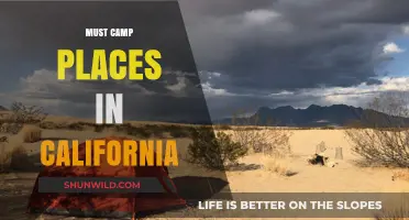 California's Top Camping Destinations: Unmissable Outdoor Adventures Await