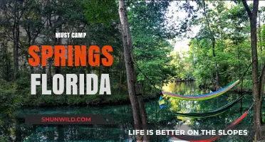 Discover Florida's Hidden Gem: Must-Visit Camp Springs Adventures