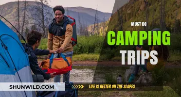 Essential Camping Adventures: Unforgettable Trips to Explore the Great Outdoors