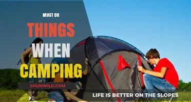 Essential Camping Adventures: Unforgettable Activities for the Ultimate Outdoor Experience