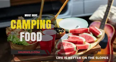 Essential Camping Food Ideas for Outdoor Adventures and Survival