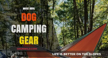 Essential Dog Camping Gear for Outdoor Adventures with Your Pup