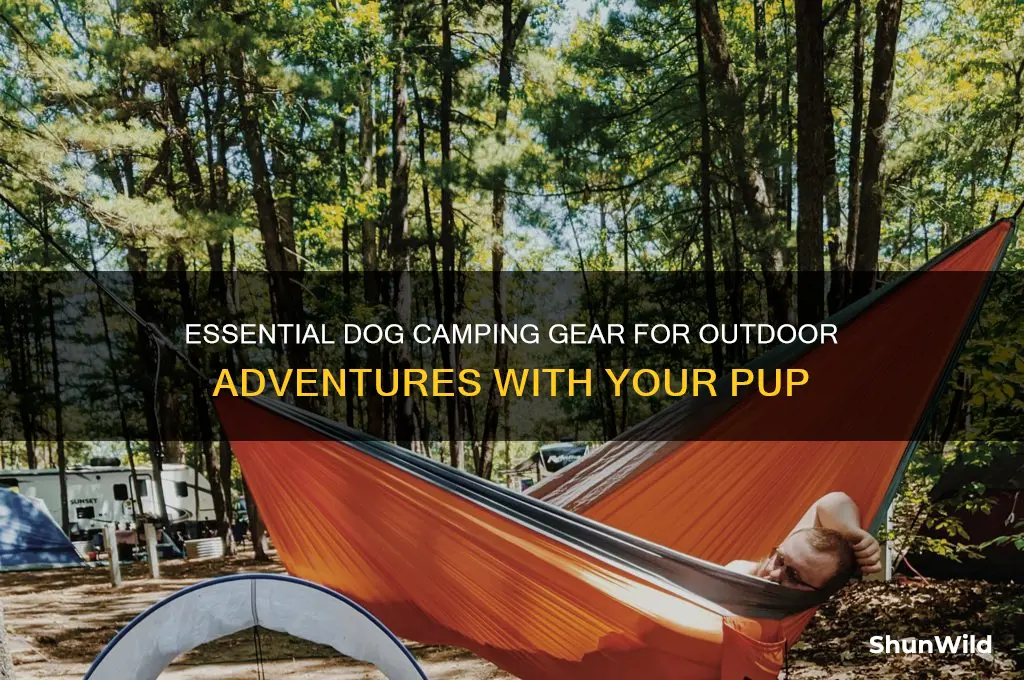 must have dog camping gear