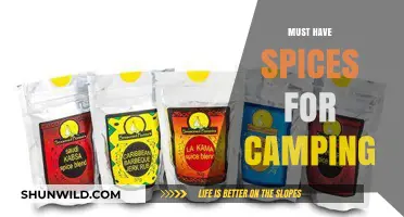 Essential Spices to Elevate Your Camping Meals and Outdoor Adventures