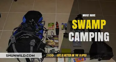 Essential Swamp Camping Gear: Survive and Thrive in Wet Wilderness