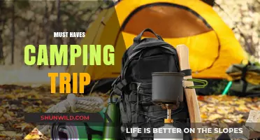 Essential Camping Gear: Must-Haves for a Perfect Outdoor Adventure