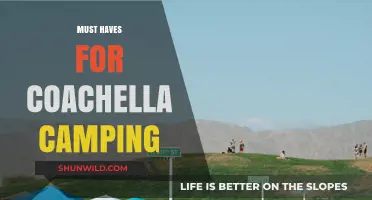 Coachella Camping Essentials: Must-Haves for a Desert Music Adventure