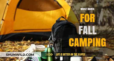 Essential Fall Camping Gear: Stay Warm and Cozy in Nature's Embrace