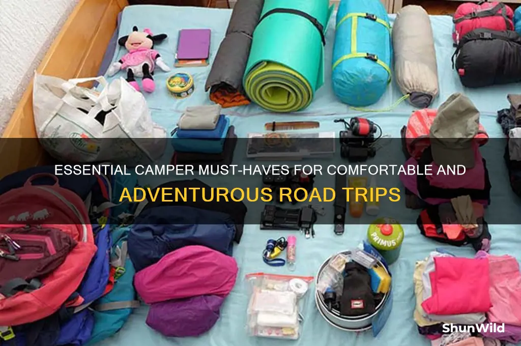 must haves in a camper