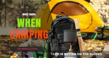 Essential Camping Gear: Must-Haves for a Comfortable Outdoor Adventure