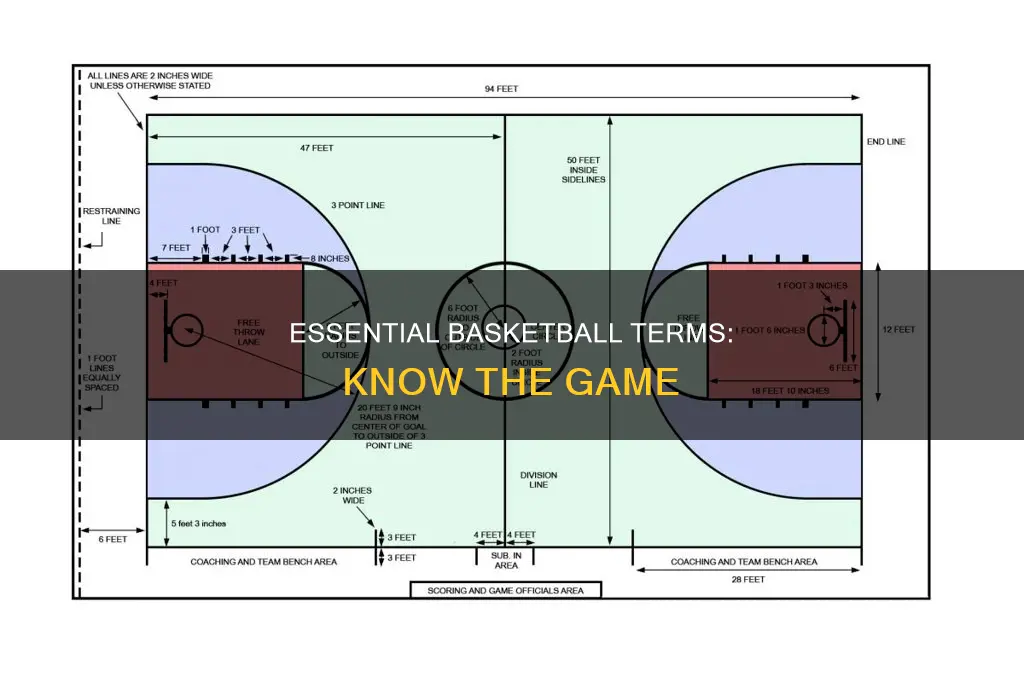 must know basketball terms