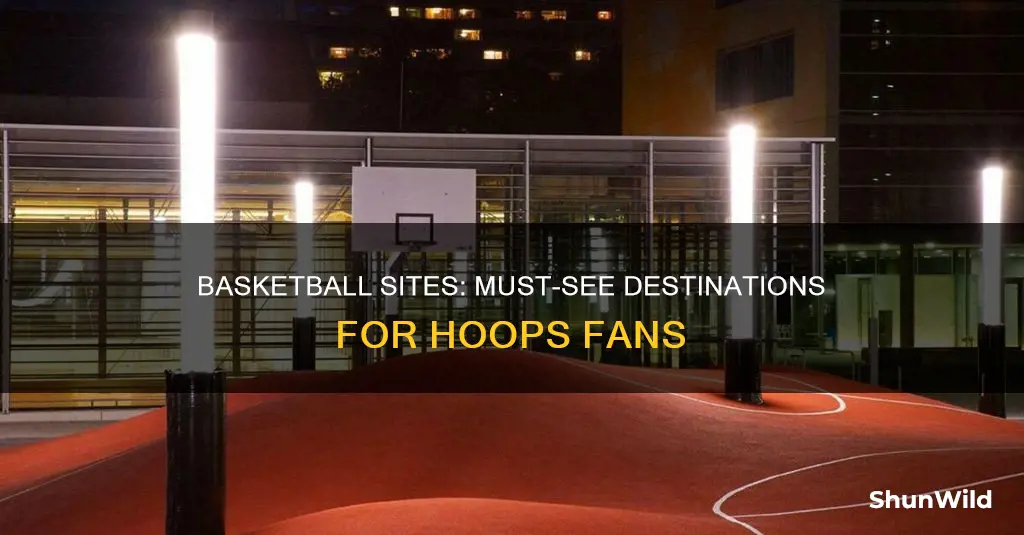 must see basketball sites