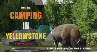 Discover Yellowstone's Best Campsites: A Must-See Camping Adventure