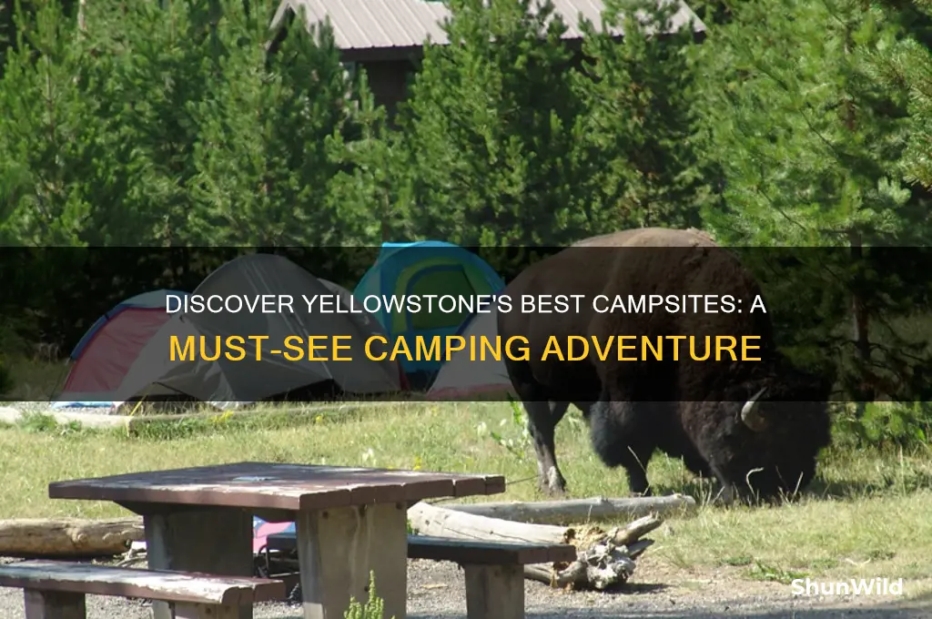 must see camping in yellowstone