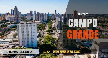 Discover Campo Grande: Top Attractions and Hidden Gems to Explore