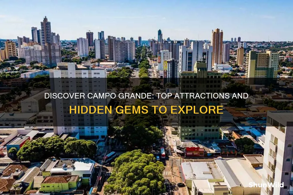 must see campo grande