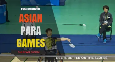 Para Badminton: Asian Para Games Glory
