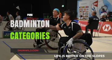 Badminton Categories for Para-athletes: Know the Differences