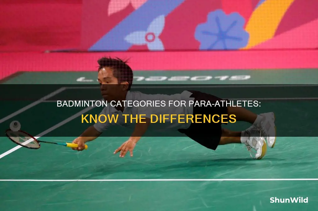 para badminton categories