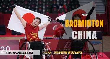 Badminton's Best: China's Para-Athletes Dominate