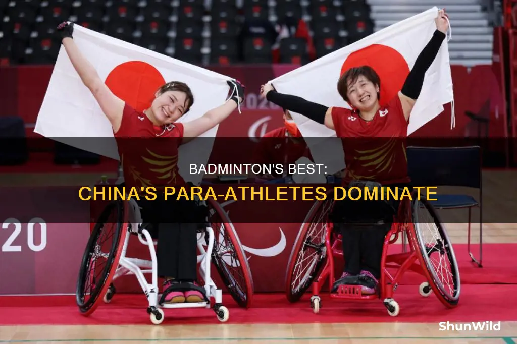 para badminton china
