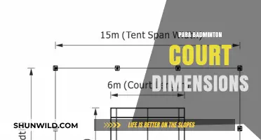 Badminton Court Dimensions for Para Athletes