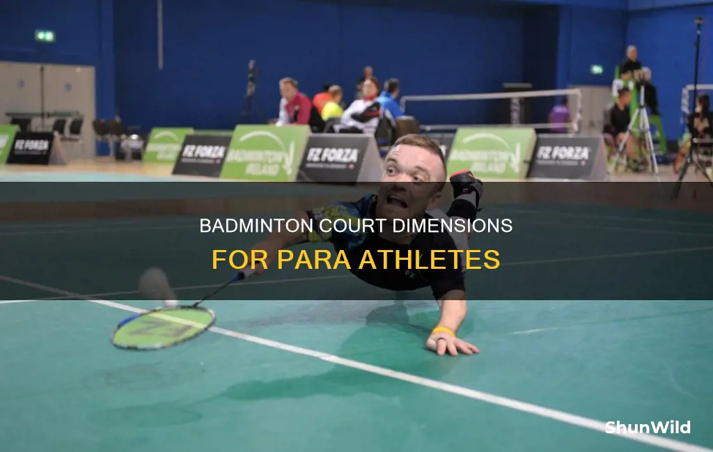 para badminton court dimensions