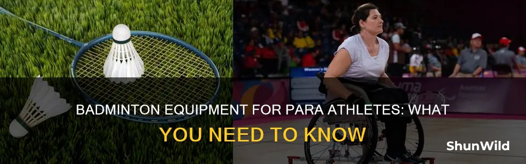 para badminton equipment