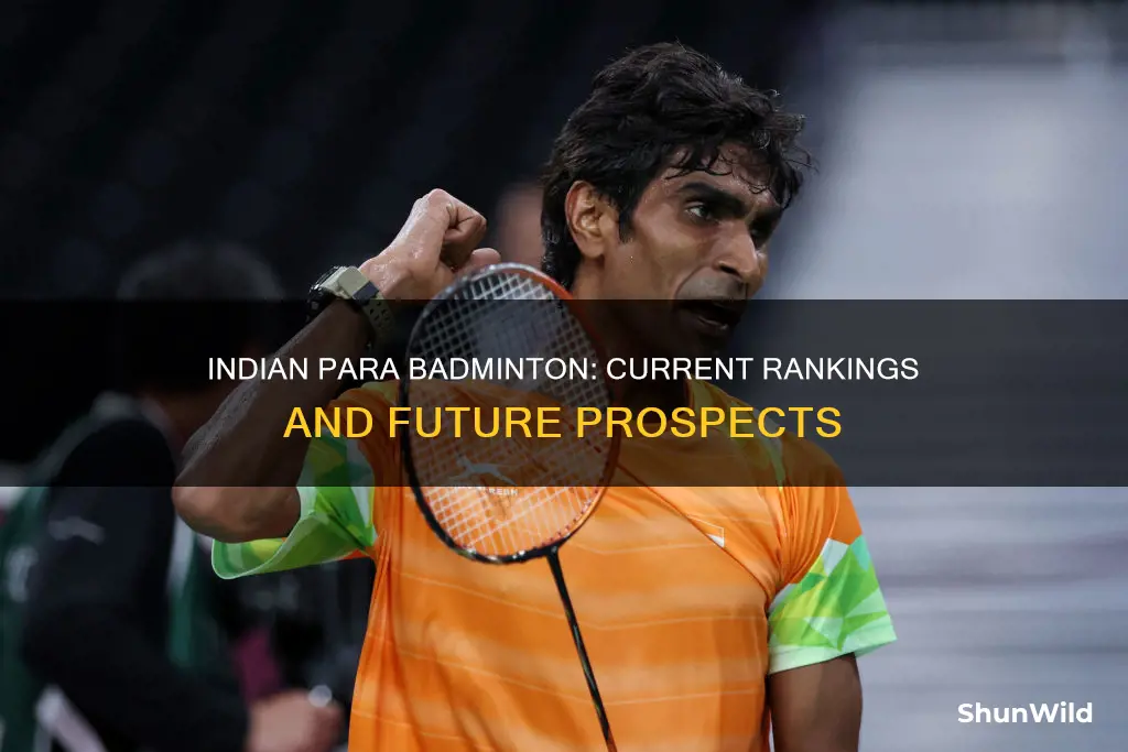 para badminton india ranking