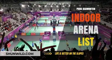 Badminton Arenas: Where the Para Badminton Magic Happens