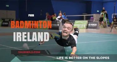 Badminton Ireland: Para Athletes' Achievements