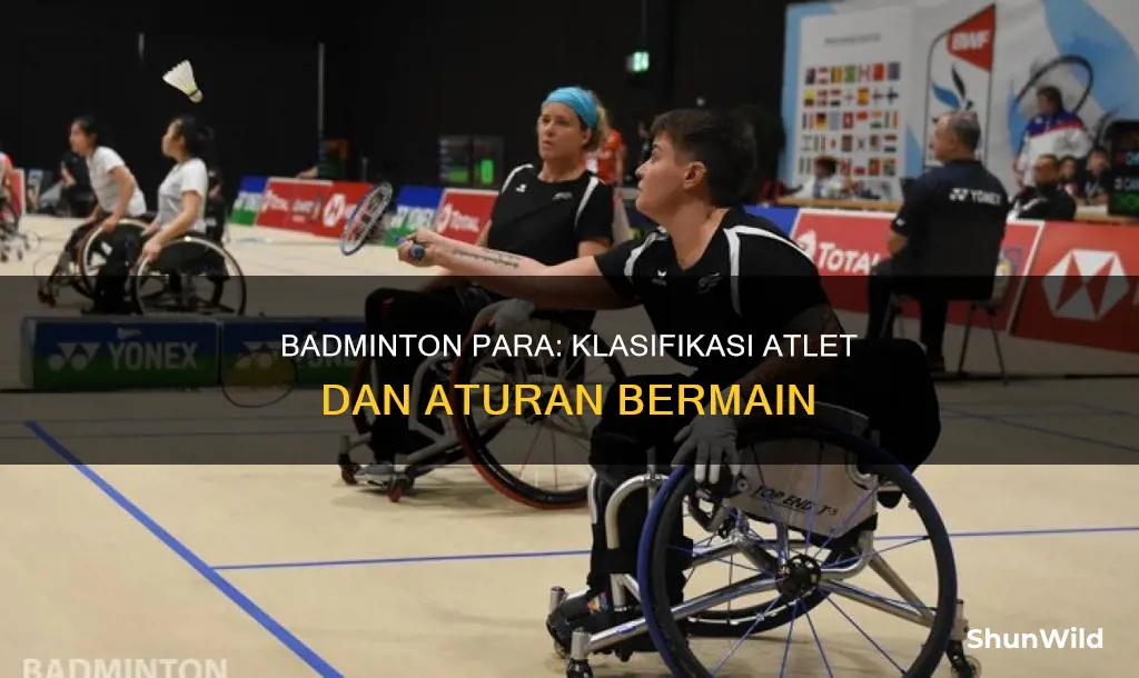 para badminton klasifikasi