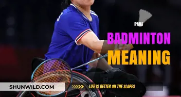 Badminton for All: Para Badminton Explained