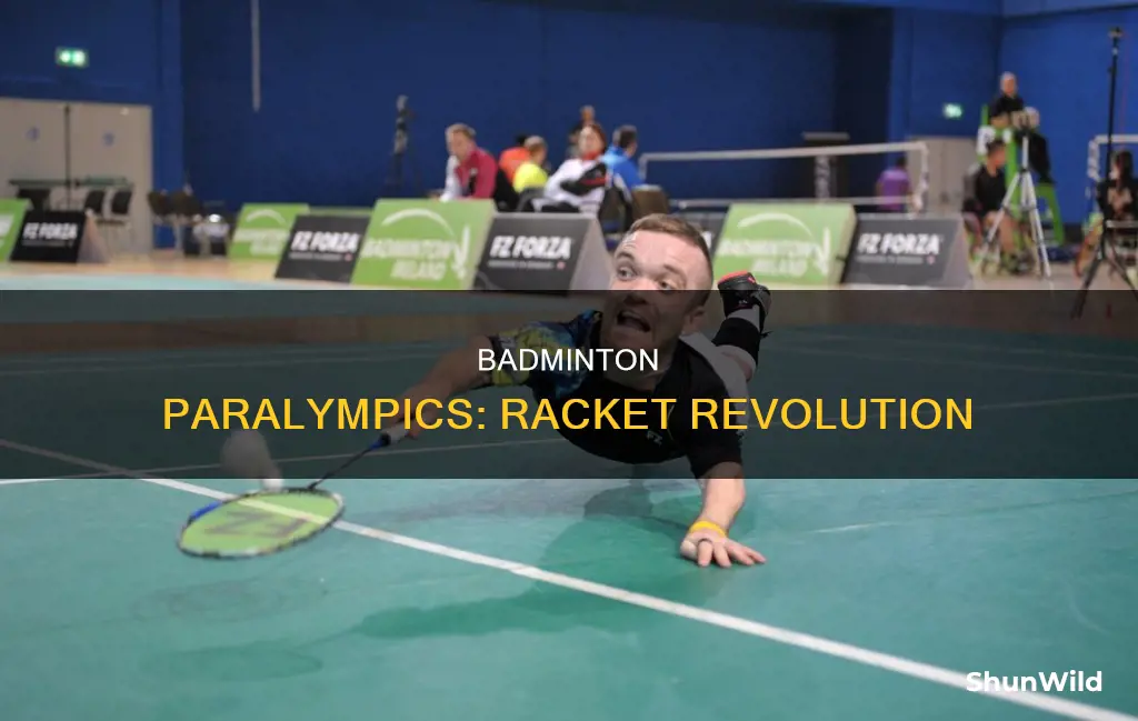 para badminton paralympics
