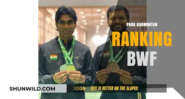 Badminton World Federation's Para Badminton Rankings Explained
