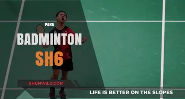 Badminton's SH6 Para-athletes: Smashing Barriers