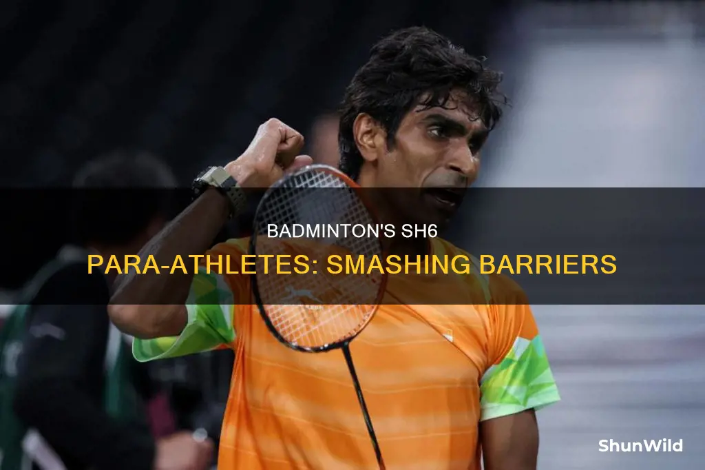para badminton sh6