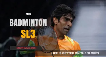 Badminton SL3: Para-Athletes' Power and Precision
