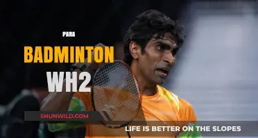 Badminton's WH2 Category: The Ultimate Guide