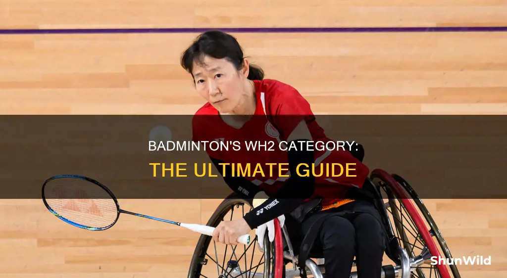 para badminton wh2