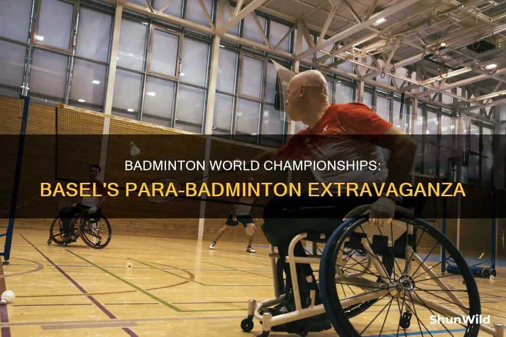 para badminton world championships basel